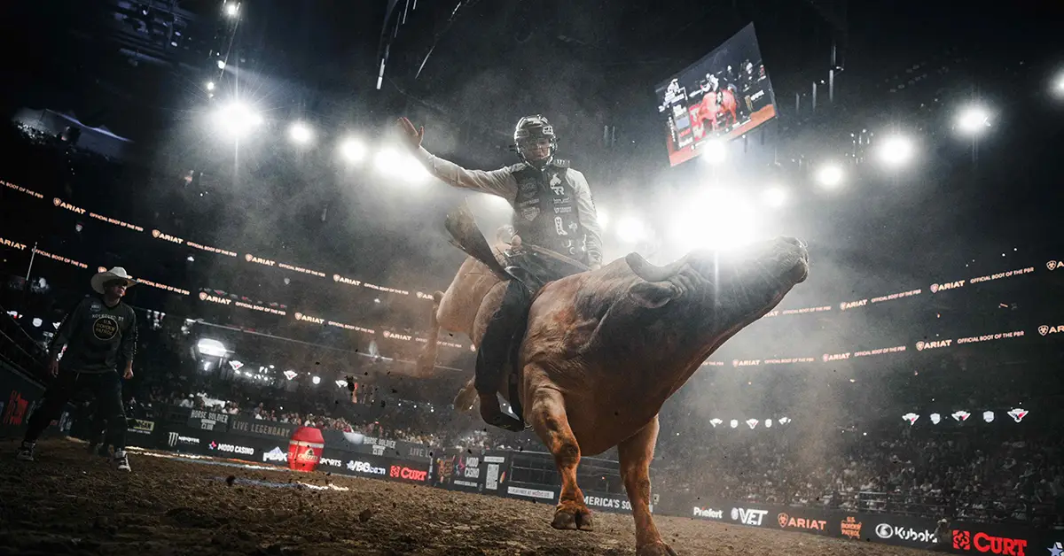 wedotv Expands Lineup at Sports FAST Channel