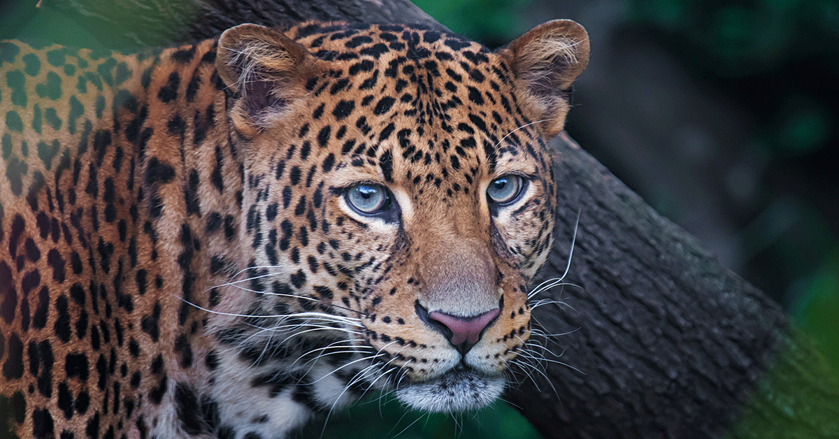 OTF Set to Unveil Broad Factual Slate