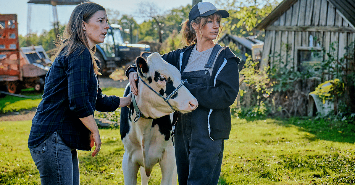 Canadian Digital Series Cows Come Home Optioned for Half-Hour TV Comedy